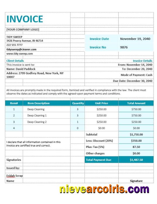 Residential Cleaning Invoice